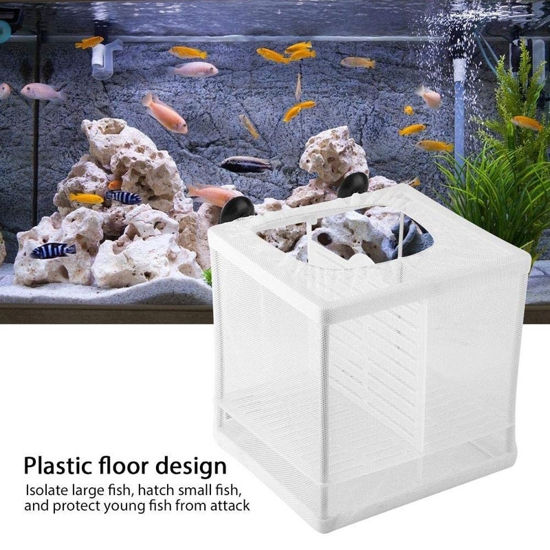 EECOO Fish Tank Breeder Net, Multifunctional Isolation Mesh Box Plastic Frame Fish Tank Separation Breeding Net Aquarium Mesh Hatchery Breeder - Image 2